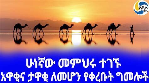  The Clever Sheep -  A 7th Century Ethiopian Tale about Resourcefulness and Deception!