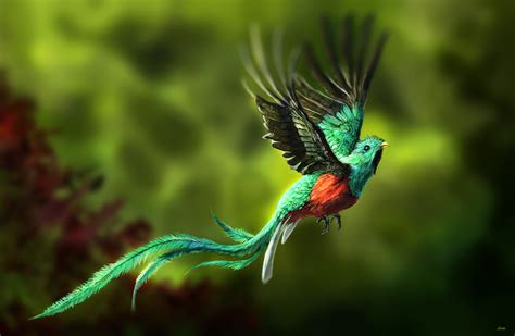  The Quetzal Bird: A Tale Of Unlikely Love And Divine Intervention From Ancient Mexico?